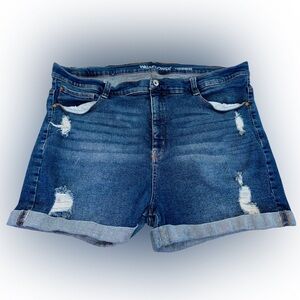 Wallflower Stellar High Rise Plus Size 24W Distressed Blue Jean Shorts